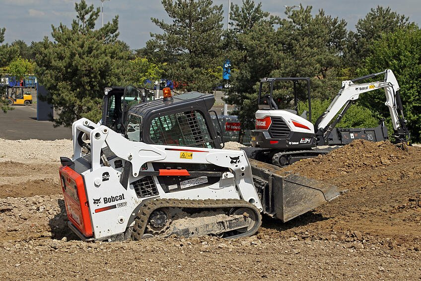 Bobcat